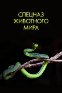 Спецназ животного мира