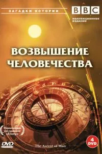 смотреть BBC: Возвышение человечества