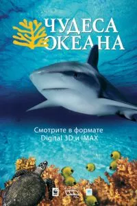 смотреть Чудеса океана 3D