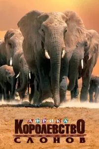 смотреть Африка - королевство слонов