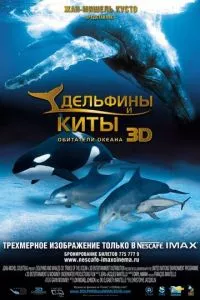 смотреть Дельфины и киты 3D