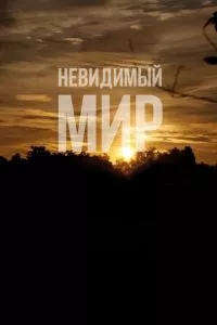 смотреть Невидимый мир