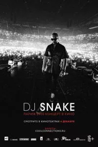 смотреть DJ SNAKE: Париж 2020. Концерт в кино