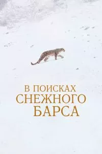 В поисках снежного барса